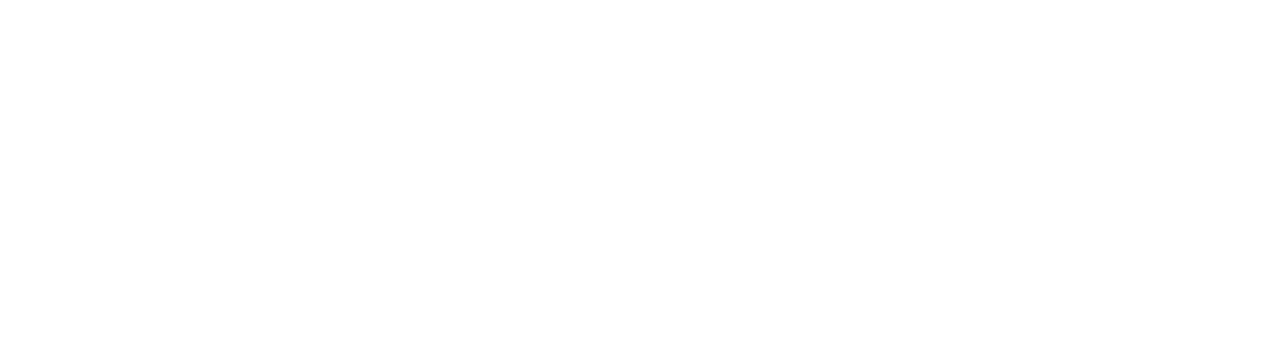 PasionVertical Logo